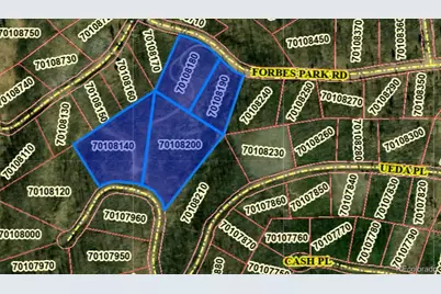 904,908,909,910 Forbes Park Rd & Ueda Pl, Fort Garland, CO 81133 - Photo 13