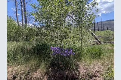 904,908,909,910 Forbes Park Rd & Ueda Pl, Fort Garland, CO 81133 - Photo 11