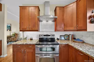10232 Mica Way, Parker, CO 80134 - Photo 15