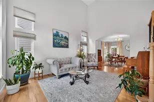 10232 Mica Way, Parker, CO 80134 - Photo 5