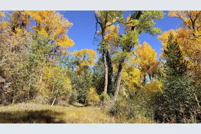 7372 County Road 221, Salida, CO 81201 - Photo 11