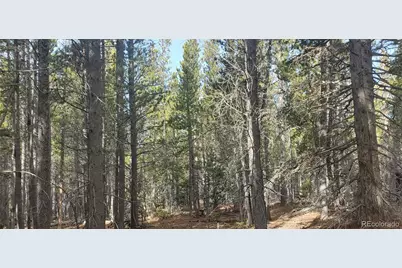 Lot 3246 Zipf Lane, Fort Garland, CO 81133 - Photo 9