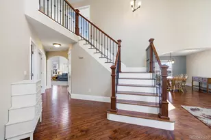 9741 Spring Hill Pl, Highlands Ranch, CO 80129 - Photo 3