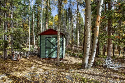 37 Briscoe Court, Alma, CO 80420 - Photo 47