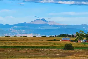 13611 Wrangler Way, Mead, CO 80542 - Photo 43