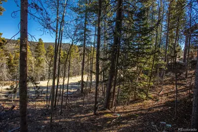 421 N Aspen Street, Alma, CO 80420 - Photo 13