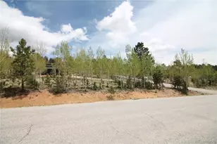 388 Clark Rd, Bailey, CO 80421 - Photo 49