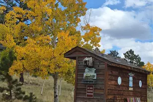 388 Clark Rd, Bailey, CO 80421 - Photo 37