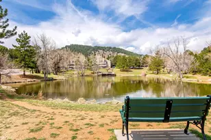 23726 Pondview Pl, Golden, CO 80401 - Photo 41