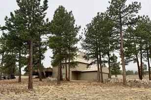 13940 County Rd 261F, Nathrop, CO 81236 - Photo 9