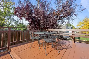 19815 E Belleview Pl, Centennial, CO 80015 - Photo 41