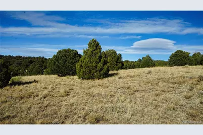 37 Navajo Ranch Resorts #4, Walsenburg, CO 81089 - Photo 15