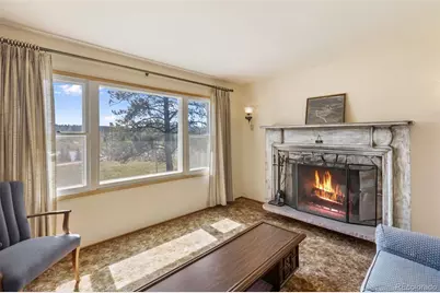 44 Remuda Lane, Florissant, CO 80816 - Photo 15