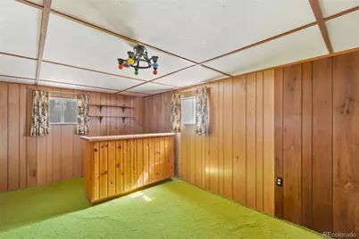 44 Remuda Lane, Florissant, CO 80816 - Photo 29