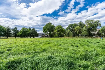 5221 McIntyre Street, Golden, CO 80403 - Photo 5