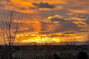 6959 S Buchanan St, Aurora, CO 80016 - Photo 37