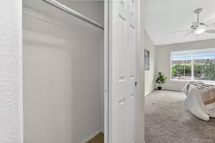 479 Black Feather Loop, Castle Rock, CO 80104 - Photo 5