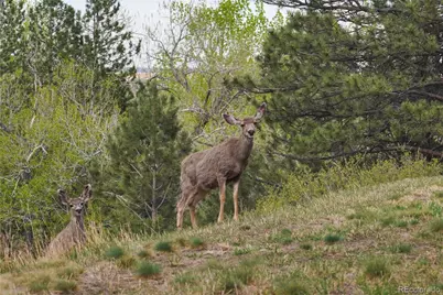 8664 Middle Fork, Boulder, CO 80302 - Photo 3