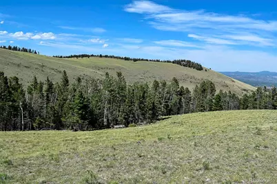 000 Bear Cat Road, Guffey, CO 80820 - Photo 39