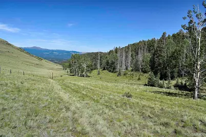 000 Bear Cat Road, Guffey, CO 80820 - Photo 9
