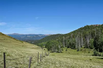 000 Bear Cat Road, Guffey, CO 80820 - Photo 13