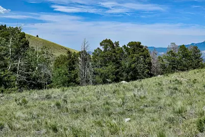 000 Bear Cat Road, Guffey, CO 80820 - Photo 23
