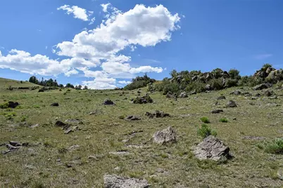 000 Bear Cat Road, Guffey, CO 80820 - Photo 35
