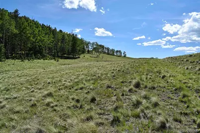 000 Bear Cat Road, Guffey, CO 80820 - Photo 3