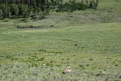 000 Bear Cat Road, Guffey, CO 80820 - Photo 21