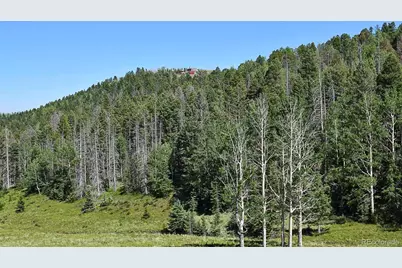 000 Bear Cat Road, Guffey, CO 80820 - Photo 19