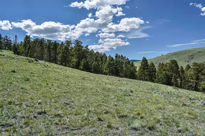 000 Bear Cat Road, Guffey, CO 80820 - Photo 25
