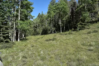 000 Bear Cat Road, Guffey, CO 80820 - Photo 15