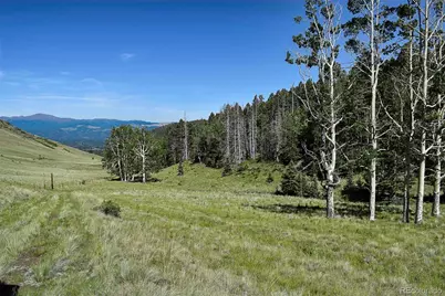 000 Bear Cat Road, Guffey, CO 80820 - Photo 11