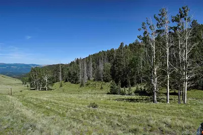 000 Bear Cat Road, Guffey, CO 80820 - Photo 7