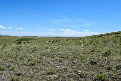 000 Bear Cat Road, Guffey, CO 80820 - Photo 29
