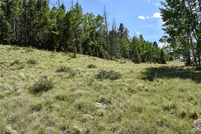 000 Bear Cat Road, Guffey, CO 80820 - Photo 17