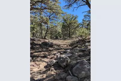606 Peaceful Overlook, Crestone, CO 81131 - Photo 5