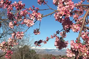 6805 S Harrison St, Centennial, CO 80122 - Photo 5