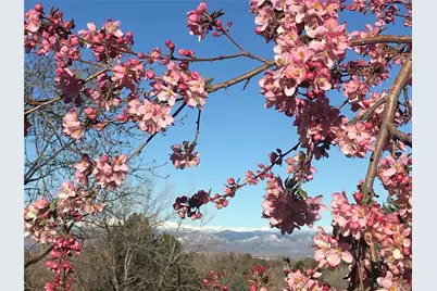 6805 S Harrison Street, Centennial, CO 80122 - Photo 25