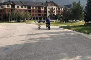 105 Wheeler Cir, Frisco, CO 80443 - Photo 33