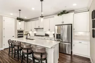 7031 Fireside Wy, Castle Rock, CO 80108 - Photo 13