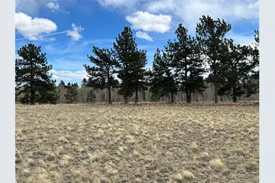 304 Brahma Circle, Hartsel, CO 80449 - Photo 9