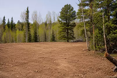 940 Lewsader Road, Alma, CO 80420 - Photo 23