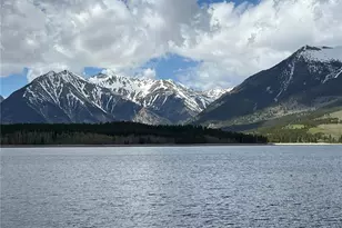 160 Birch Dr, Twin Lakes, CO 81251 - Photo 21