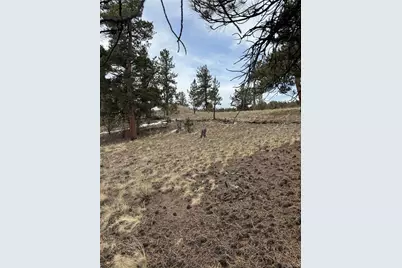 203 Loft Way, Hartsel, CO 80449 - Photo 13