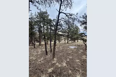 203 Loft Way, Hartsel, CO 80449 - Photo 1