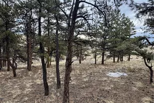 203 Loft Way, Hartsel, CO 80449 - Photo 1