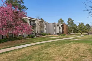 1300 Golden Cir, Golden, CO 80401 - Photo 5