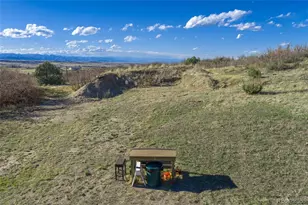 2097 W Wolfensberger Rd, Castle Rock, CO 80109 - Photo 45