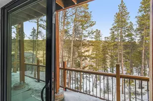 148 Aspen St, Alma, CO 80420 - Photo 33